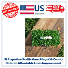 Augustine seville grass for sale  Butte