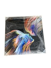 Wandbild 40x40cm glasbild gebraucht kaufen  Viernheim