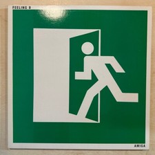 Feeling hea hoa gebraucht kaufen  Neuenhagen