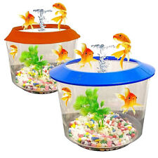 Goldfish small fish for sale  UK