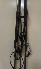 Zillies shires horse for sale  THETFORD
