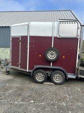 Ivor williams horse for sale  ABERYSTWYTH