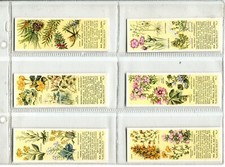 Wild flowers families for sale  SWINDON