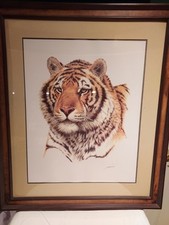 Guy coheleach siberian for sale  Middletown