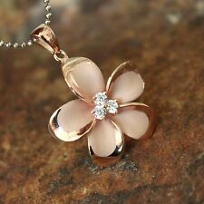 25mm large rose for sale  Kailua