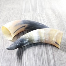 Raw unfinished cow for sale  Parma