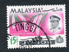 Malesia malaysia johor usato  Roma