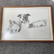 Jack russell framed for sale  SKEGNESS