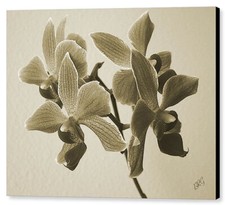 colored artwork for sale  High Point