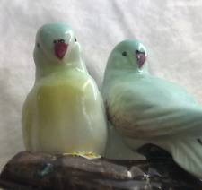 Vintage budgies budgerigar for sale  TUNBRIDGE WELLS