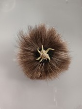 Rehfell radl rosette gebraucht kaufen  Kaufbeuren