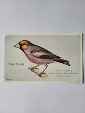 Capern cage bird for sale  ROCHFORD