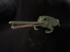 Huge taxidermy toad for sale  East Hampstead