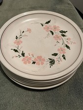 Teller mittags teller gebraucht kaufen Teller mittags teller gebraucht kaufen  Calau