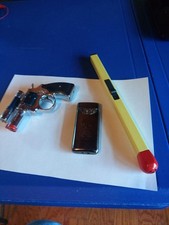 Tiger squirrel lighter for sale  Fredonia