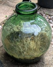 Vintage green glass for sale  STAMFORD