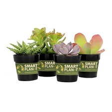 Smart planet 2.5 for sale  Phoenix