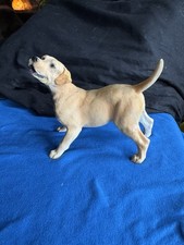 Labrador retriever hand for sale  NOTTINGHAM
