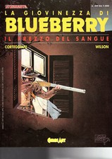 Giovinezza bluberry prezzo usato  San Lorenzo Nuovo