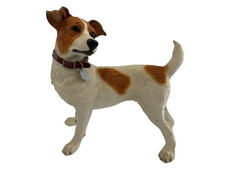 Jack russell terrier for sale  WELWYN GARDEN CITY