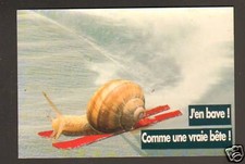 Ski snail drool d'occasion  Expédié en Belgium