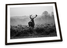 Stag deer sunset for sale  UK