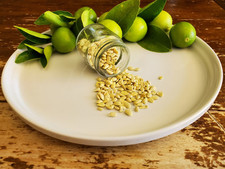 Key lime seeds for sale  Surprise