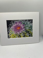 8x10 matted print for sale  Bainbridge Island