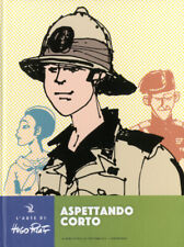 Fumetto cartonato arte usato  Villar Focchiardo