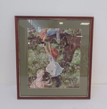 grahame johnstone for sale  WELWYN GARDEN CITY