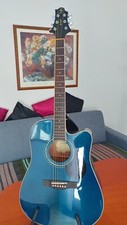 Akustik gitarre greg gebraucht kaufen  Essen