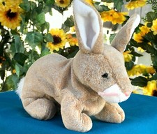 Beautiful gray brown for sale  Lakeland
