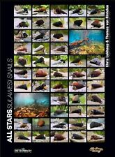Aquaristik poster schnecken gebraucht kaufen  Hausach
