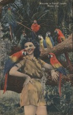 Cartão postal de linho Miami, Flórida mulher com araras, selva papagaio Donald Forbes, Somerville comprar usado  Enviando para Brazil