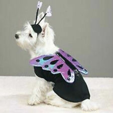 Casual canine flutter for sale  HULL