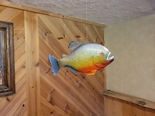 piranha fish for sale piranha fish for sale Mason
