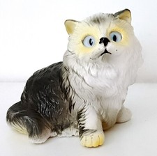 Himalayan cat gatto usato  Genova