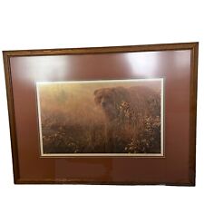 Mist grizzly bear for sale  Philadelphia
