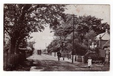 original suffolk for sale original suffolk for sale NORWICH