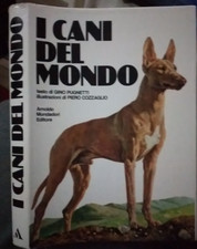 Pugnetti cani del usato  Caivano