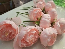peonies for sale peonies for sale OSSETT
