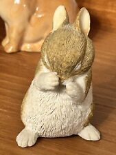 sherratt simpson rabbit for sale sherratt simpson rabbit for sale FERNDOWN