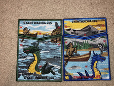 Boy scout gyantwachia for sale  Utica