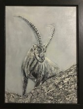 Quadro stambecco dipinto usato  Novara