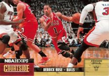 Derrick rose chicago for sale  Plymouth