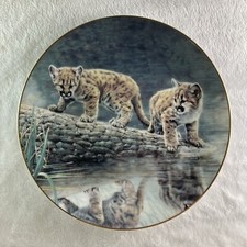 Reflections plate wild for sale  Vergas
