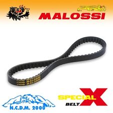 Malossi 617222 cinghia usato  Massa di Somma