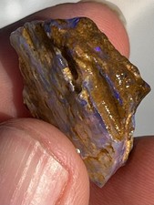 Fósseis de opalas fossilizadas de substituição de madeira opalada cristal Austrália comprar usado  Enviando para Brazil