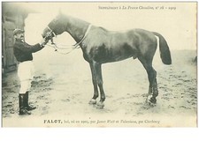 Hippisme. 35604.falot.bai.1909 d'occasion  France