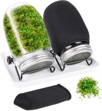 Seed sprouting jar for sale  Frisco